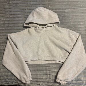 Aritzia Gray Cropped Hoodie Sweater